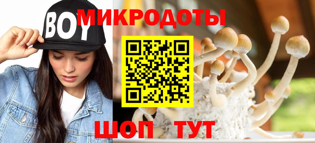 Галлюциногенные грибы мицелий Рассказово