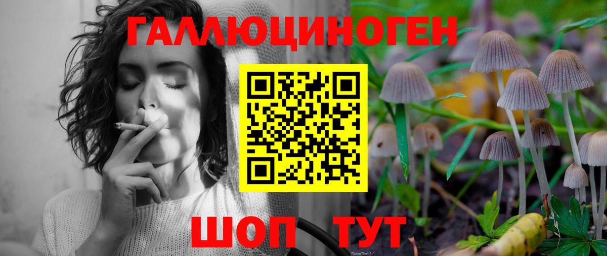 Псилоцибиновые грибы Cubensis  Вход с VPN  купить закладку  Рассказово 